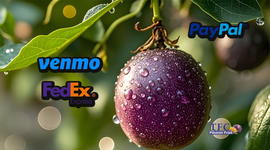 Fresh Passion Fruits Background