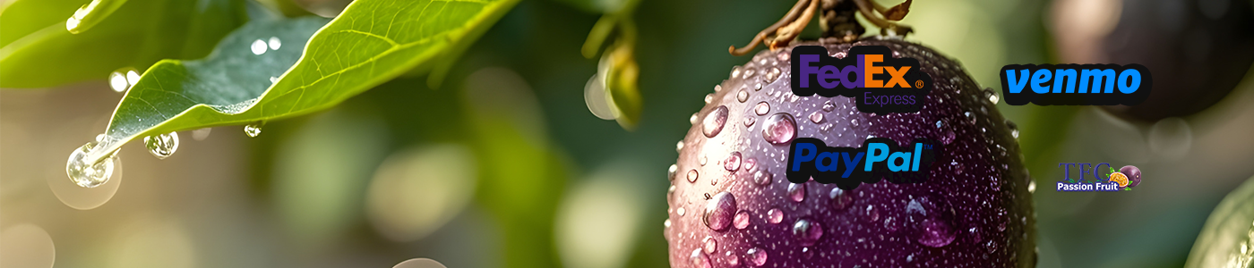 Fresh Passion Fruits Background